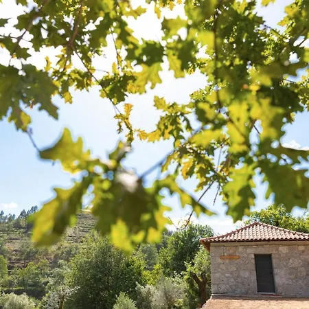 Сasa de vacaciones Casa Velha De Ponta Soto Cela (Vila Verde, Braga)