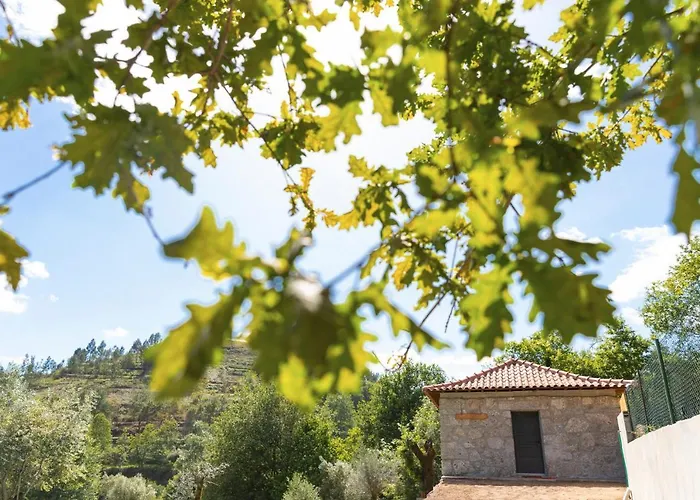 Tatil Evi Casa Velha De Ponta Soto Cela (Vila Verde, Braga)